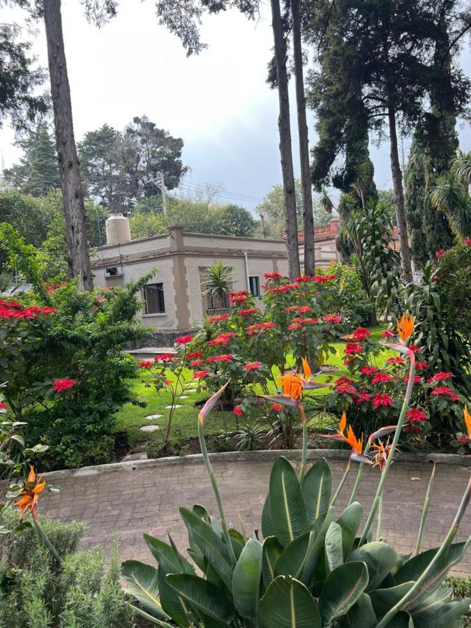 Hotel Express Quinta Soledad مدينة مكسيكو المظهر الخارجي الصورة